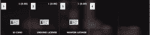 NoPixel ID Card & Driving License & Weapon License & Police Card [Card System]