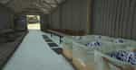 ໂຮງງານ Vine Treatment Factory MLO