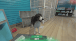 Pet System V8 [ESX/QB]