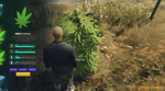 Drug System V31 [Weed][Marijuana][ESX/QB]