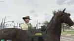 Sheriff Horse System