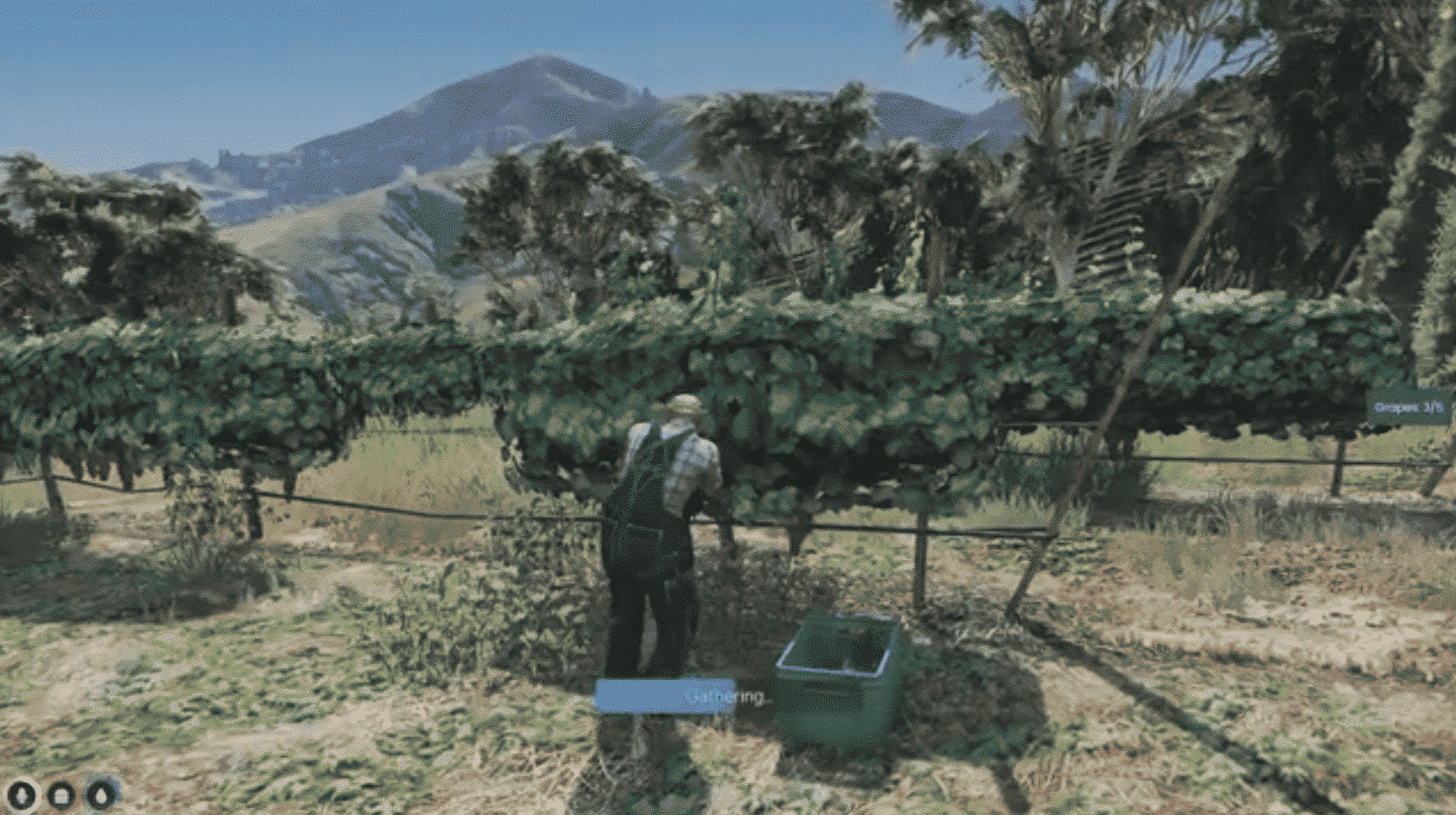 Vineyard Job & Winemaking Job System V2 [Wine Maker][ESX/QB]