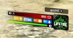 HUD stanu V40