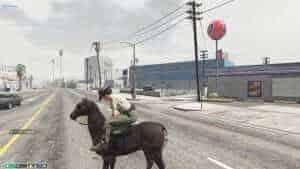 Sheriff Horse System