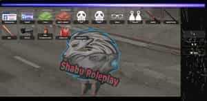 Inventory Hud V13