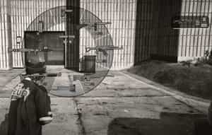 Sistema de armas + Arma HUD [Retroceso] [HUD]