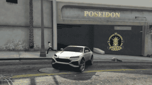 Custom Center Garage MLO