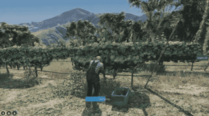 Vineyard Job & Winemaking Job System V2 [Wine Maker][ESX/QB]