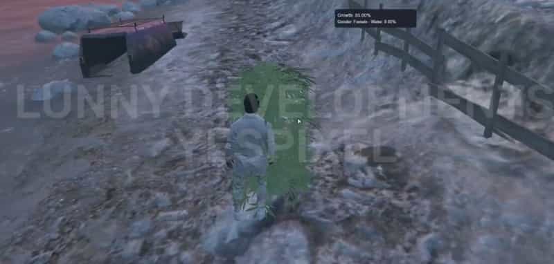 NoPixel Drug System V2 [วัชพืช] [แบบสแตนด์อโลน]