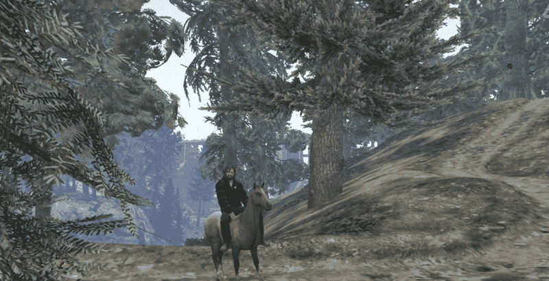 Système d'équitation V2 [Avancé] [Autonome]