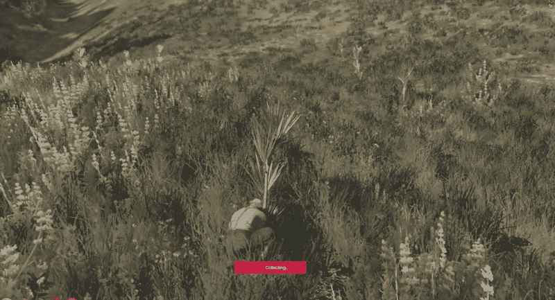 Drug System V22 [Cocaine][QB]