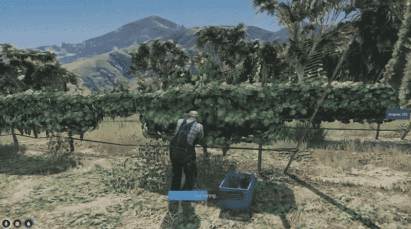 Vineyard Job & Winemaking Job System V2 [Wine Maker][ESX/QB]