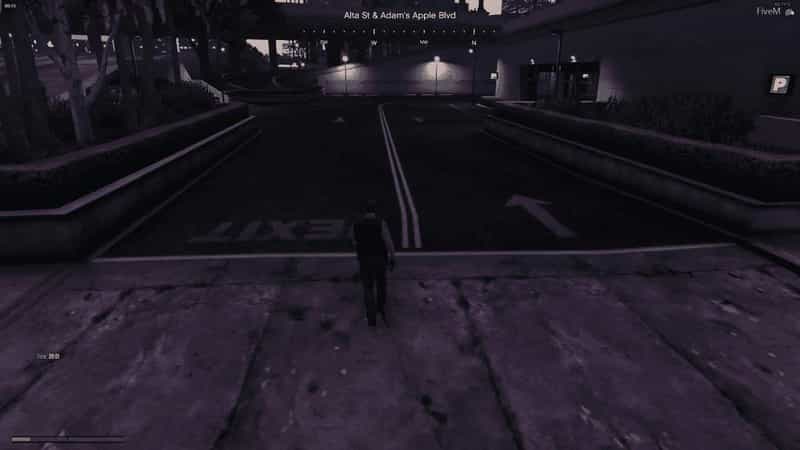 NoPixel डॅमेज वॉक