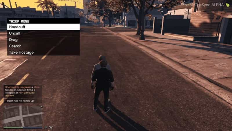 Thief Menu | FiveM Store Thief Menu