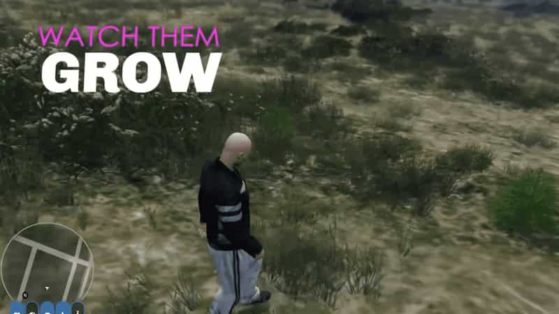 Drugssysteem V16