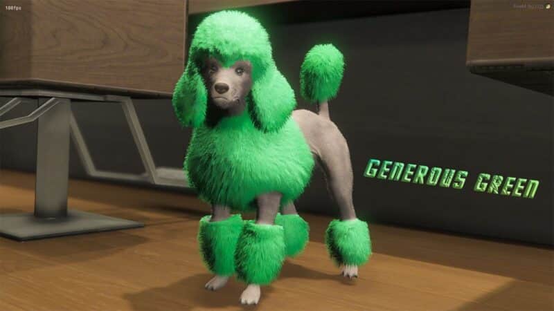 Colored Poodles Pet [Dogs]