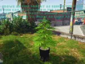 Drug System V27 [Weed Plant][ESX/QB] | FiveM Store