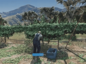 Vineyard Job & Winemaking Job System V2 [Wine Maker][ESX/QB] | FiveM Store