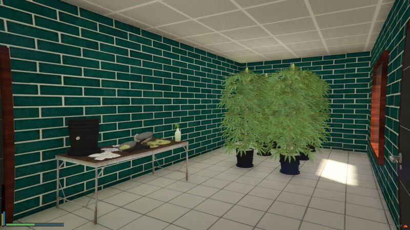 Kush Store MLO + PawnShop MLO + Electronics Shop MLO [Weed Store]